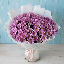 Букет цветов из:  Хризантемы в Больших Березниках