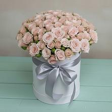 Цветочная композиция из Розы в шляпной коробке #REPLACE_PRED# Больших Березниках