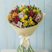 Букет цветов из:  Альстромерии #REPLACE_PRED# Больших Березниках