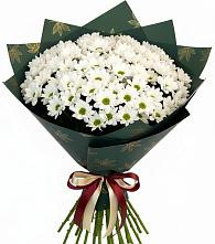 Букет цветов из:  Хризантемы #REPLACE_PRED# Больших Березниках