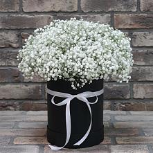Цветочная композиция из Гипсофила в шляпной коробке #REPLACE_PRED# Больших Березниках
